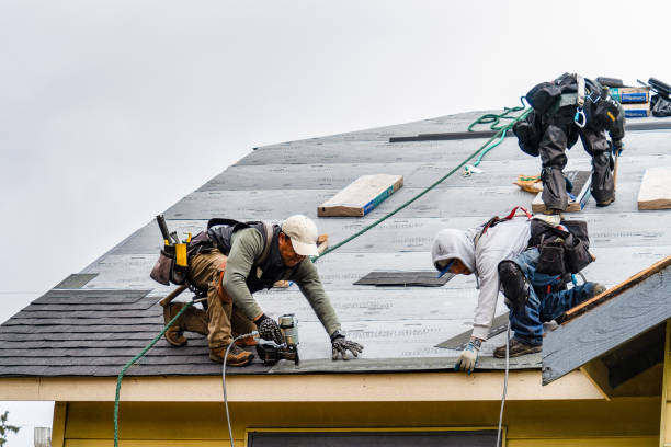 Professional Roof Installation technician working in Madera, PA